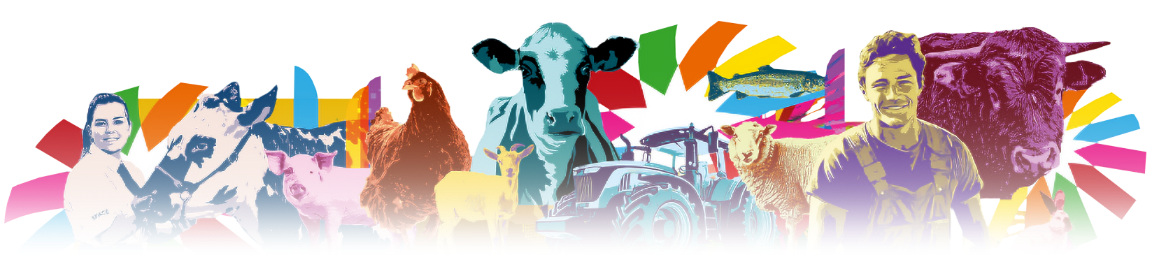 illustration space avec des animaux de la ferme et le style du logo space